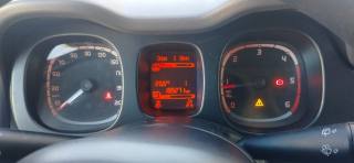 FIAT Panda usata 10