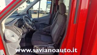 FORD  usata 5