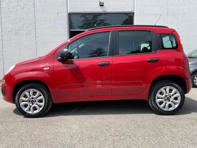 FIAT Panda usata, con Airbag testa