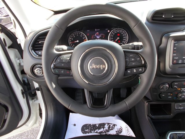 JEEP Renegade usata, con Cruise Control