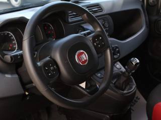 FIAT Panda usata, con Controllo trazione