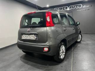 FIAT New Panda usata, con Airbag Passeggero