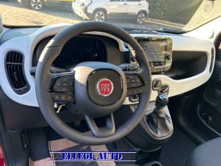 FIAT Pandina Cross usata, con Fendinebbia