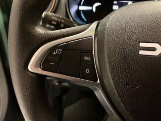 DACIA Spring usata 18