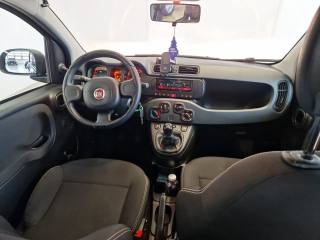 FIAT Panda usata 21
