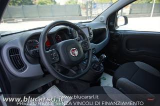 FIAT Panda usata 5