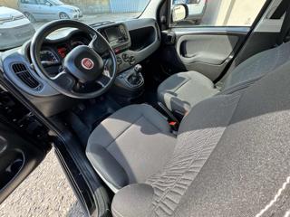 FIAT Panda usata, con Chiusura centralizzata
