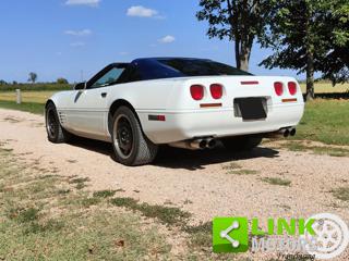 CHEVROLET Corvette usata 20