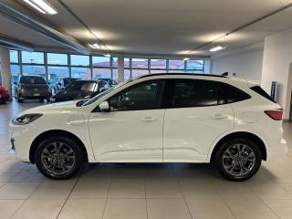 FORD Kuga usata, con Alzacristalli elettrici