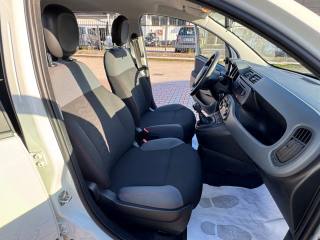 FIAT New Panda usata, con Airbag testa