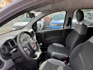 FIAT Panda usata, con Cronologia tagliandi