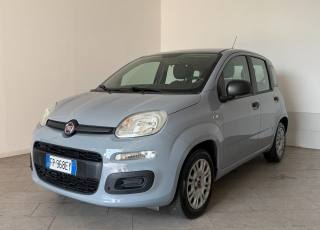 FIAT Panda usata 2