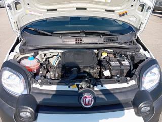 FIAT Panda Cross usata, con Start/Stop Automatico