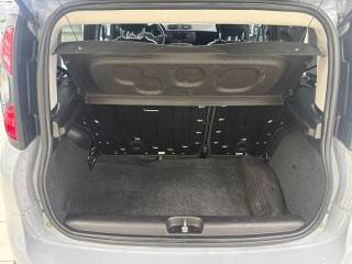 FIAT Panda Cross usata, con Fendinebbia
