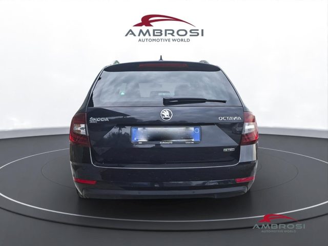 SKODA Octavia usata 7