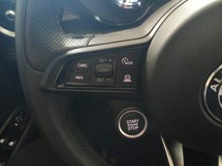 ALFA ROMEO Tonale usata, con Volante in pelle