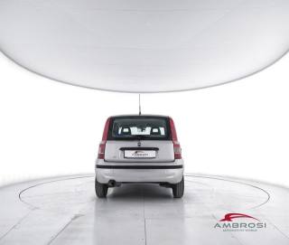 FIAT Panda usata 5