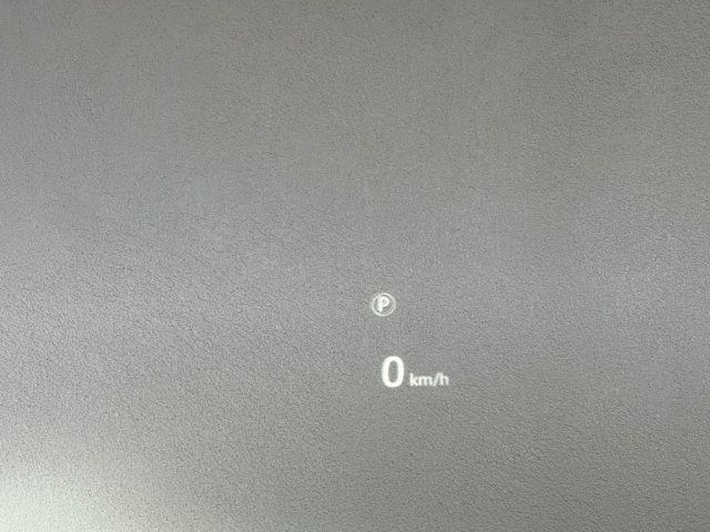 LAND ROVER Range Rover Sport usata 14