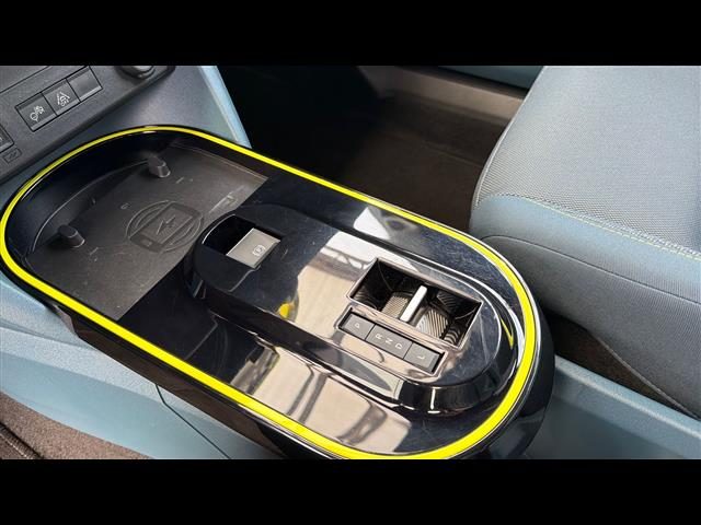 FIAT Grande Panda usata, con ESP