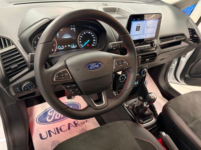 FORD EcoSport usata, con Vetri oscurati