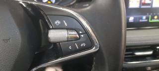 SKODA Fabia usata 25