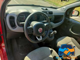 FIAT Panda usata, con Controllo trazione