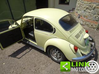 VOLKSWAGEN Maggiolone usata 11