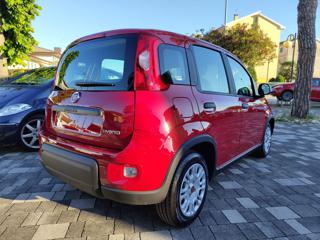 FIAT Panda usata, con Alzacristalli elettrici