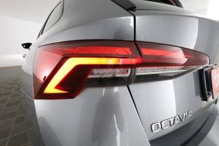 SKODA Octavia usata 14