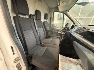 FORD Transit usata 28
