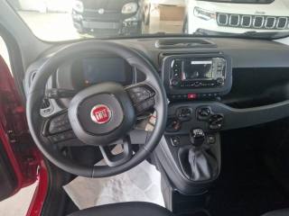 FIAT Panda usata, con Servosterzo