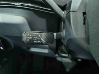 SKODA Karoq usata, con Specchietti laterali elettrici