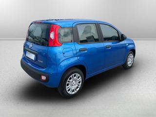 FIAT Panda usata 2