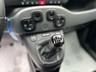 FIAT Panda usata, con Controllo trazione