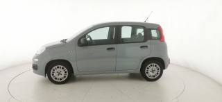 FIAT Panda usata 3