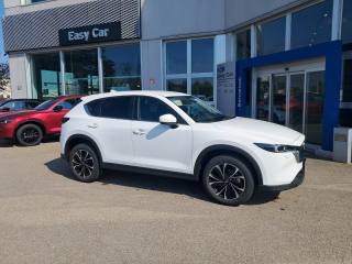 MAZDA CX-5 usata, con Boardcomputer
