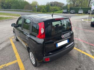 FIAT Panda usata, con Airbag Passeggero