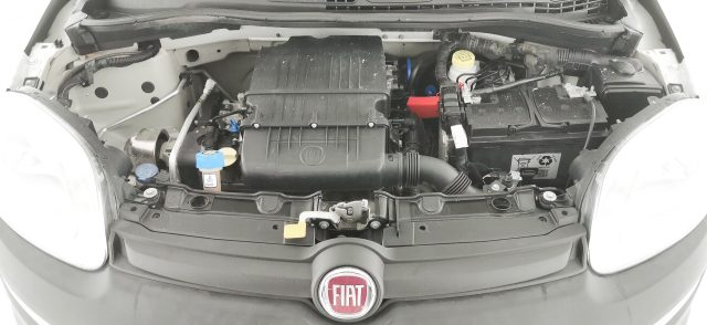 FIAT Panda usata 42