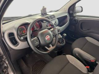 FIAT Panda usata 8