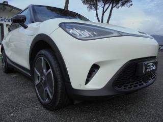 SMART Smart usata, con Tetto panorama