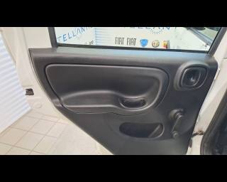 FIAT New Panda usata, con Airbag testa
