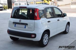 FIAT Panda usata, con Controllo trazione