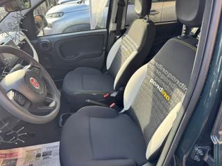 FIAT Panda usata, con Cruise Control