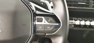 PEUGEOT 5008 usata 69