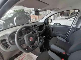 FIAT Panda usata 29