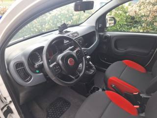 FIAT Panda usata, con Controllo trazione