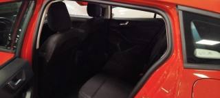 FORD Focus usata, con Fari LED