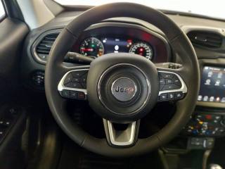 JEEP Renegade usata, con Boardcomputer