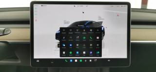 TESLA Model Y usata 69