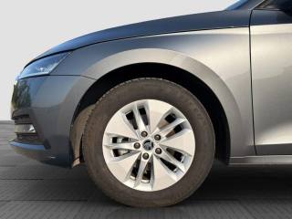 SKODA Octavia usata 15